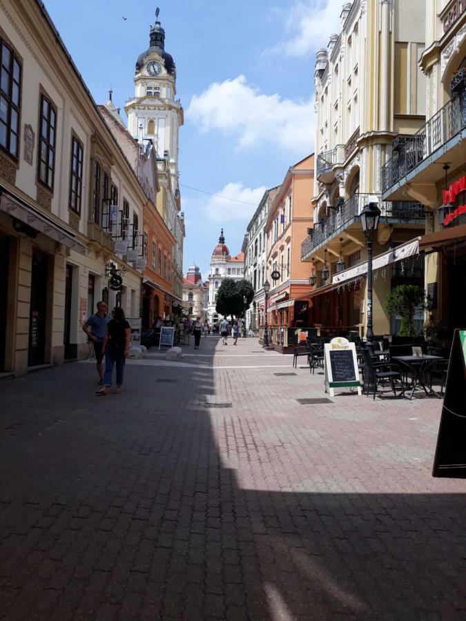 Sunny City Center بيتْش المظهر الخارجي الصورة